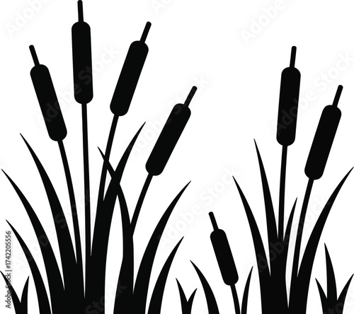 Black silhouette of cattails and marsh grass growing in water wetland plants silhouette