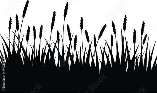Black silhouette of tall grass and reeds against a white background nature scene