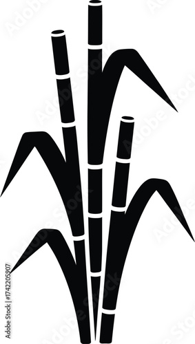 Black silhouette of tall sugarcane stalks with long leaves against a white background silhouette