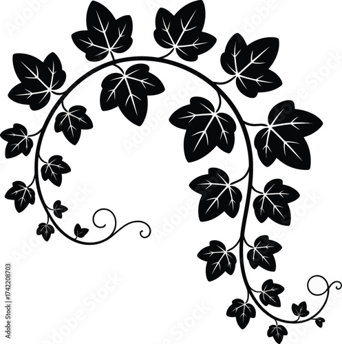 Elegant black ivy vine with detailed leaves in a flowing decorative silhouette