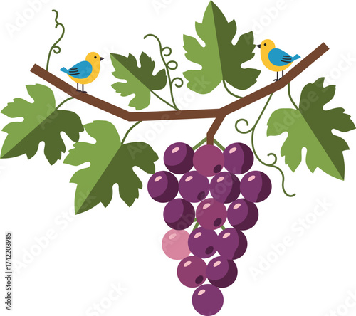 Vibrant bunch of purple grapes on a vine with two cheerful birds overhead isolated on transparent background
