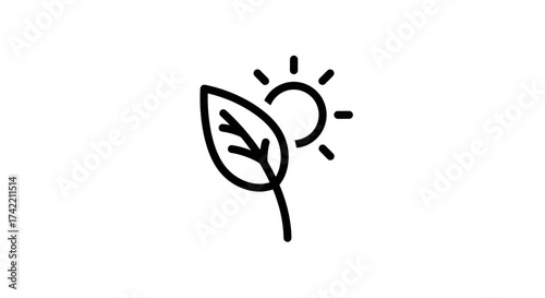 Minimalist Leaf and Sun Icon Symbolizing Nature and Growth.