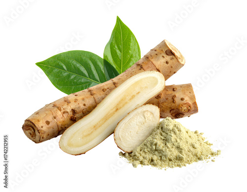 Shatavari isolated on transparent background for Herbal Supplements and Ayurveda Marketing