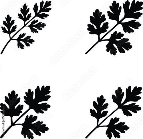 Four distinct black parsley leaf sprigs arranged in a grid pattern silhouette