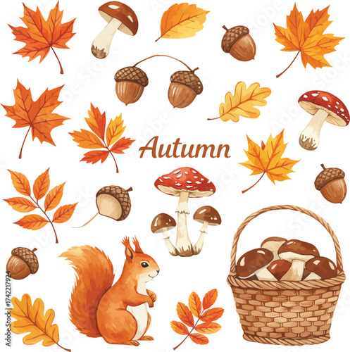 Autumn harvest elements squirrel leaves mushrooms acorns basket