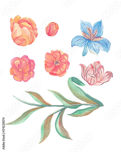 set of flowers watercolor handdraw clipart cute