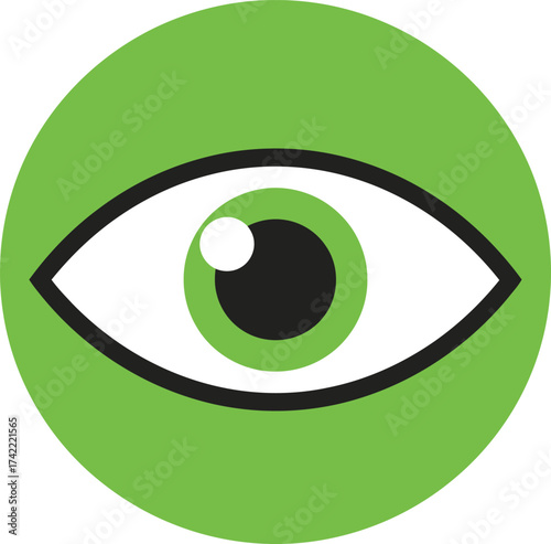 Modern flat green circle with eye icon simple clean design for vision and observation concepts isolated on transparent background