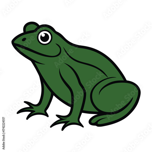 green tree frog