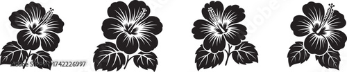 Black Hibiscus Flowers a bold invitation to tropical elegance line art on clean white with detailed