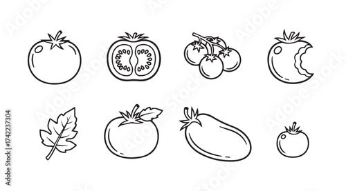 Hand drawn sketch collection of fresh tomatoes and a leaf for culinary design vector