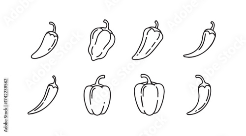 Hand drawn sketch collection of bell peppers and chili peppers for food graphics and design vector