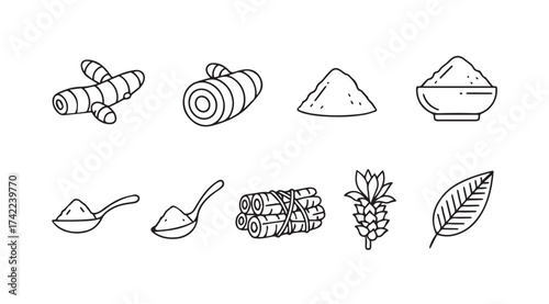 Hand drawn turmeric root spice powder leaves and flowers elements in line art style vector