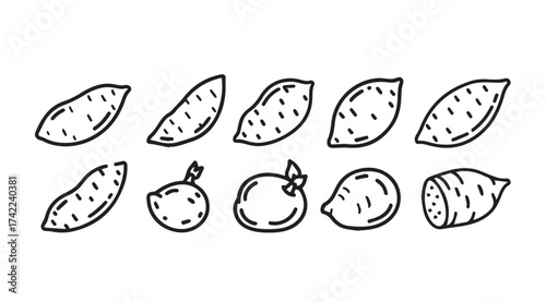 Hand drawn sweet potatoes and yams assortment fresh root vegetables doodle style vector