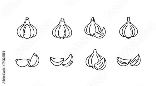 Hand drawn garlic collection culinary ingredient sketch food art isolated elements vector