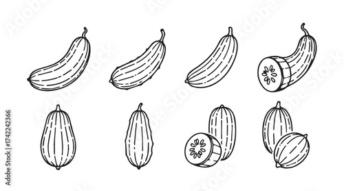 Hand drawn sketch collection of fresh cucumbers and sliced pieces for healthy eating vector