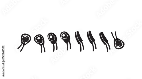 Whiskers of a cat stylized drawing series showing movement and texture on vector