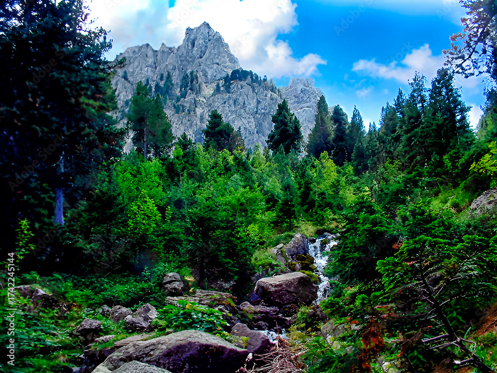 Obraz premium Pico Portarro