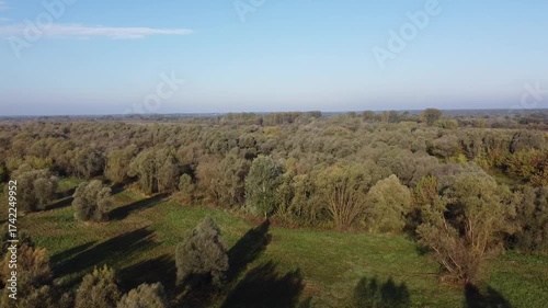 Aerial View of Vast Forest in Poland During Autumn