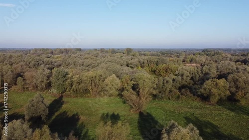 Aerial View of Vast Forest in Poland During Autumn