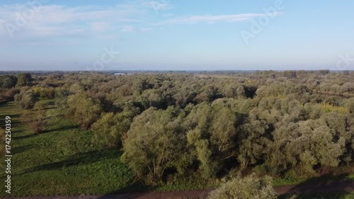 Aerial View of Vast Forest in Poland During Autumn
