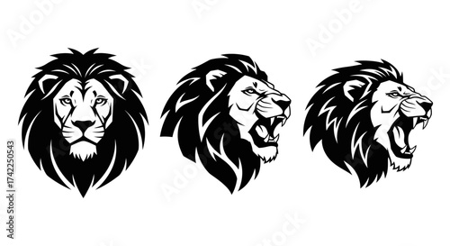 Three stylized lion head illustrations showing front and profile views roaring silhouette
