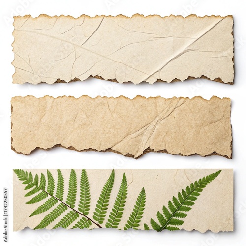 ripped element set of torn paper edges isolated with clipping path on white background. torn paper texture, ripped of paper designs and jagged paper edges create a raw, artistic ...