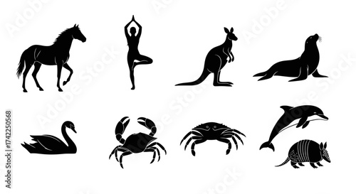 Collection of diverse animal and human silhouettes including horse swan crab dolphin and yoga poses silhouette