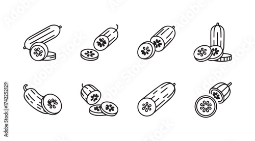 Hand drawn cucumber slices and whole vegetable elements fresh organic produce in sketch style vector