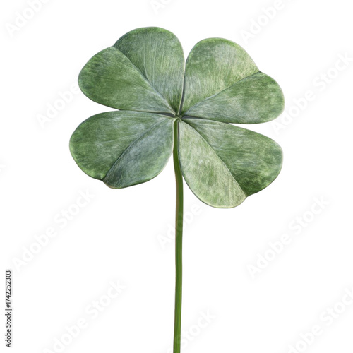 AI Image A botanical rendering of a four-leaf clover set against a stark black background