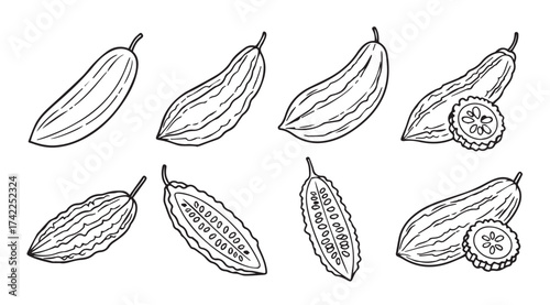 Hand drawn sketch of cucumbers various angles showing whole and sliced vegetables in outline style vector