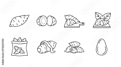Collection of hand drawn sweet potato and croissant food icons on vector