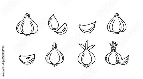 Hand drawn sketch collection of garlic bulbs and cloves for culinary and ingredient designs vector
