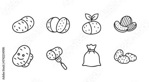 Hand drawn potato icon set collection featuring whole cut and sprouting vegetables vector