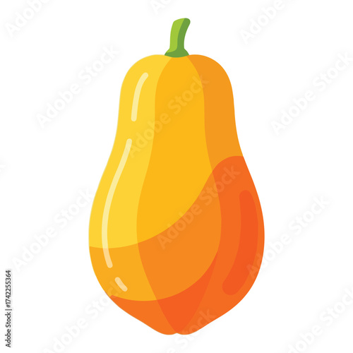 Flat Simple Butternut Squash Illustration Isolated On Clean Background