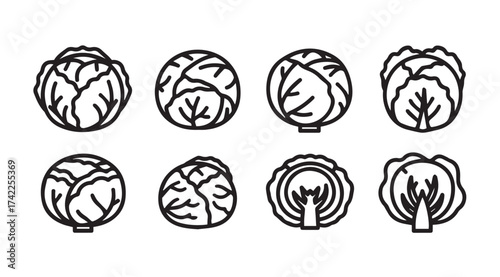 Set of eight stylized cabbage icons representing fresh healthy food and vegetable variety vector