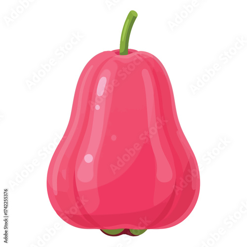 Cartoon Style Isolated Wax Apple Delicious Tropical Fruit Illustration