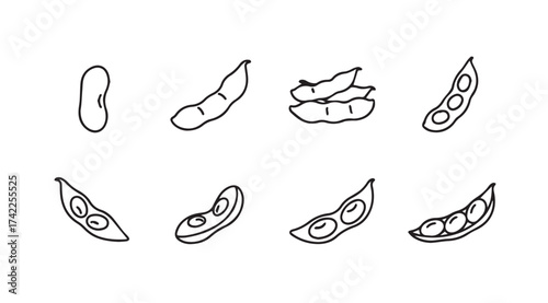 Hand drawn soybeans collection various pods and beans simple outline sketches vector