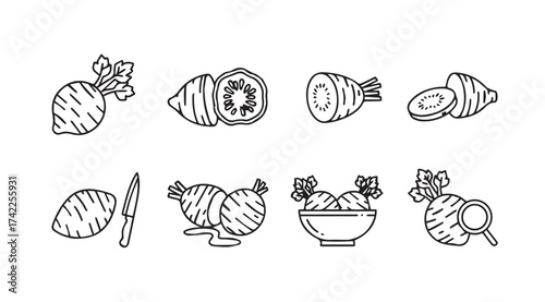 Collection of hand drawn root vegetables and turnip in bowl isolated line art vector
