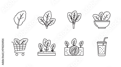 Hand-drawn spinach icons representing healthy eating and organic produce vector