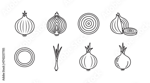 Hand drawn sketch collection of fresh onions various forms whole sliced and green scallions vector