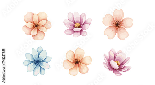 Beautiful watercolor floral illustrations featuring delicate flowers in soft pastel colors.