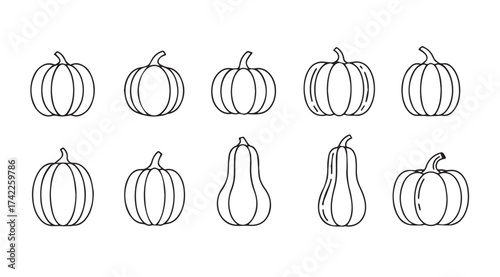 Collection of hand drawn outline pumpkins and gourds for autumn and harvest season design vector