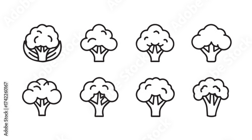 Collection of eight stylized broccoli icons fresh healthy food elements isolated graphics vector