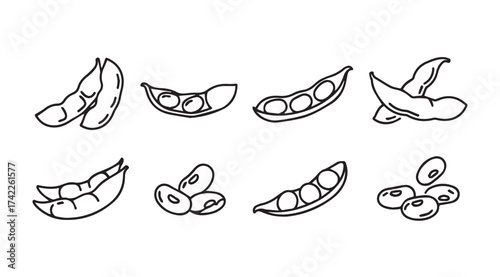Hand drawn sketch soybeans collection fresh edamame pods and beans isolated on vector