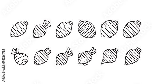 Hand drawn root vegetables collection organic farm fresh produce doodle style icons set vector
