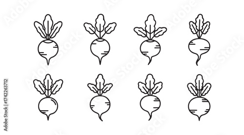 Hand drawn beetroot vegetable icons set isolated on fresh organic food vector