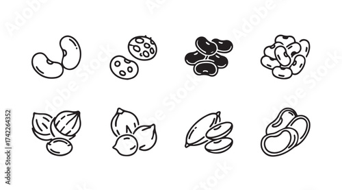 Collection of hand-drawn seed and bean varieties for healthy eating and cooking vector