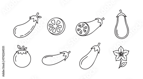 Hand drawn sketch collection of fresh eggplant varieties and culinary preparations for food art vector