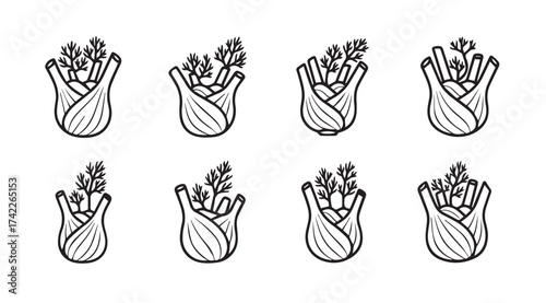 Fresh fennel bulbs with fronds hand drawn sketch style set of eight vector