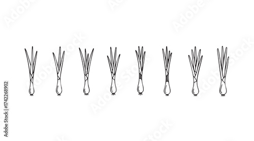 Collection of hand-drawn whisk designs for culinary or decorative projects vector